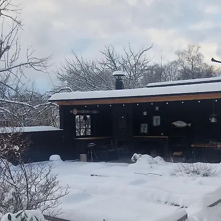 House In The *