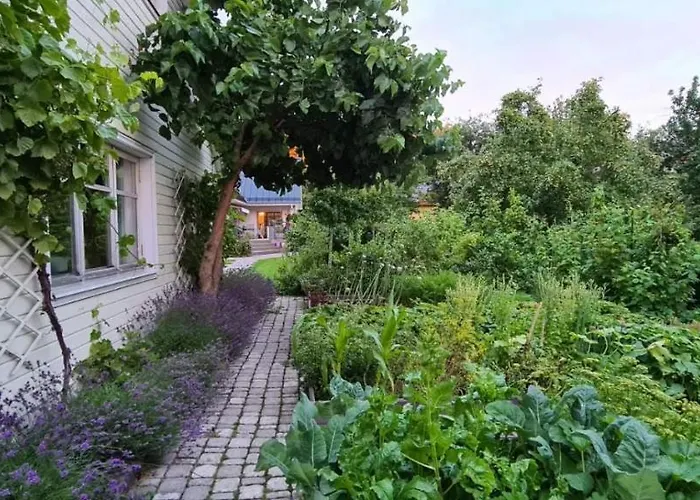 Будинок відпочинку House In The *