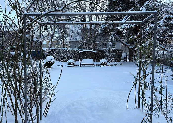 Будинок відпочинку House In The *