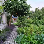 Дом отдыха House In The *