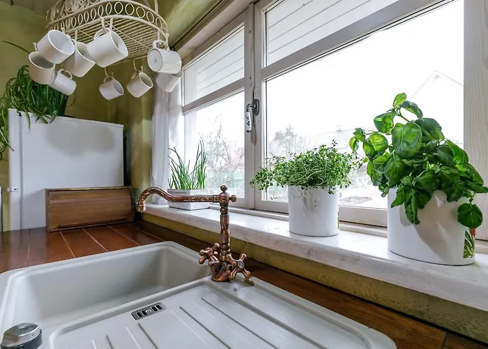 Сasa de vacaciones House In The