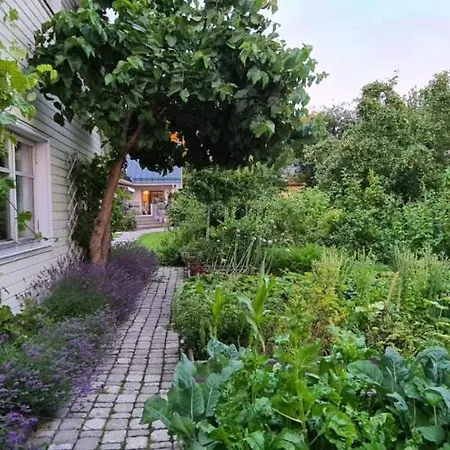 Сasa de vacaciones House In The *